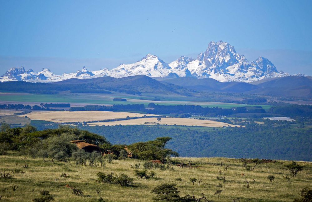 Monográficos de origen: Kenia